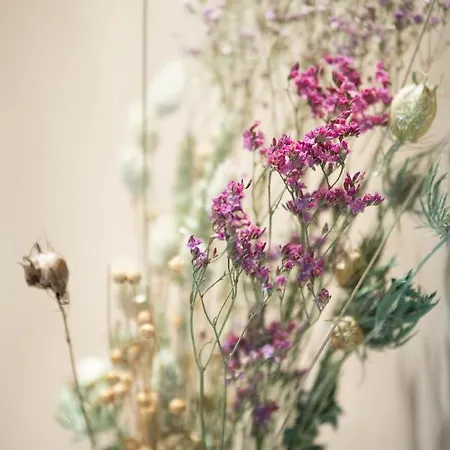 Апартаменты Matelotte