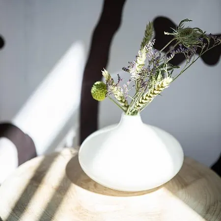 Апартаменты Matelotte